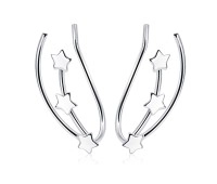 Lovely Star Silver Earrings EL-3599